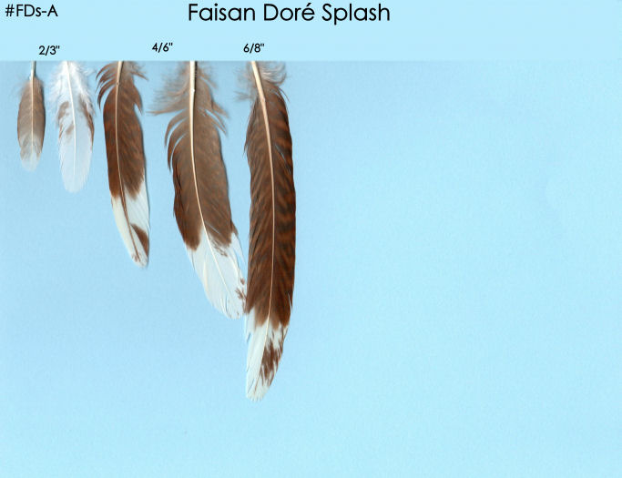 Faisan Aile  -Doré Splash-  p4